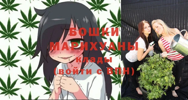сатива Вязьма