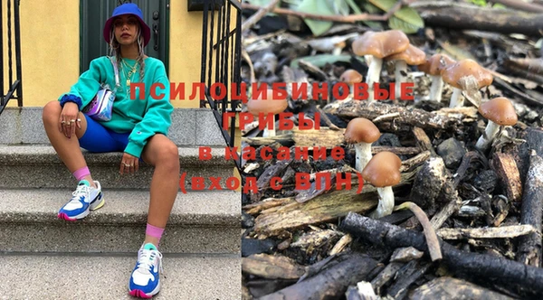 сатива Вязьма