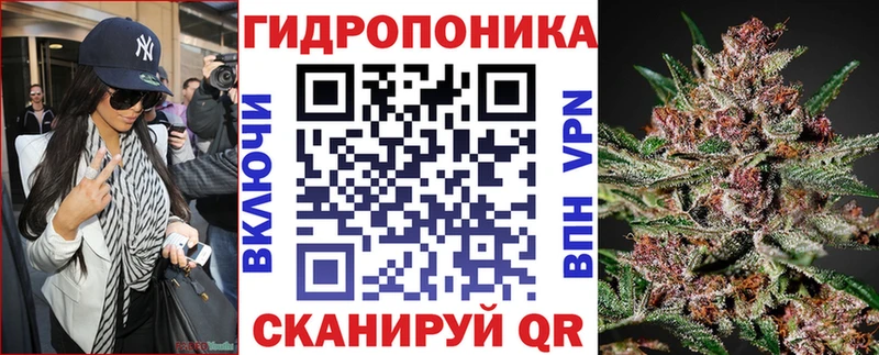 omg как войти  Дно  Каннабис планчик 